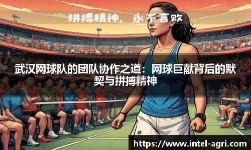 k8凯发网站