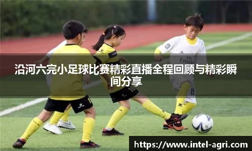 k8凯发体育