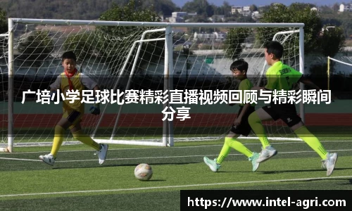 k8凯发网站