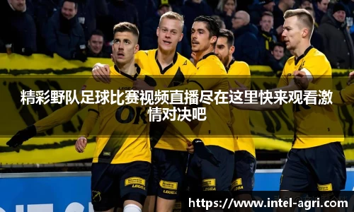 k8凯发网站